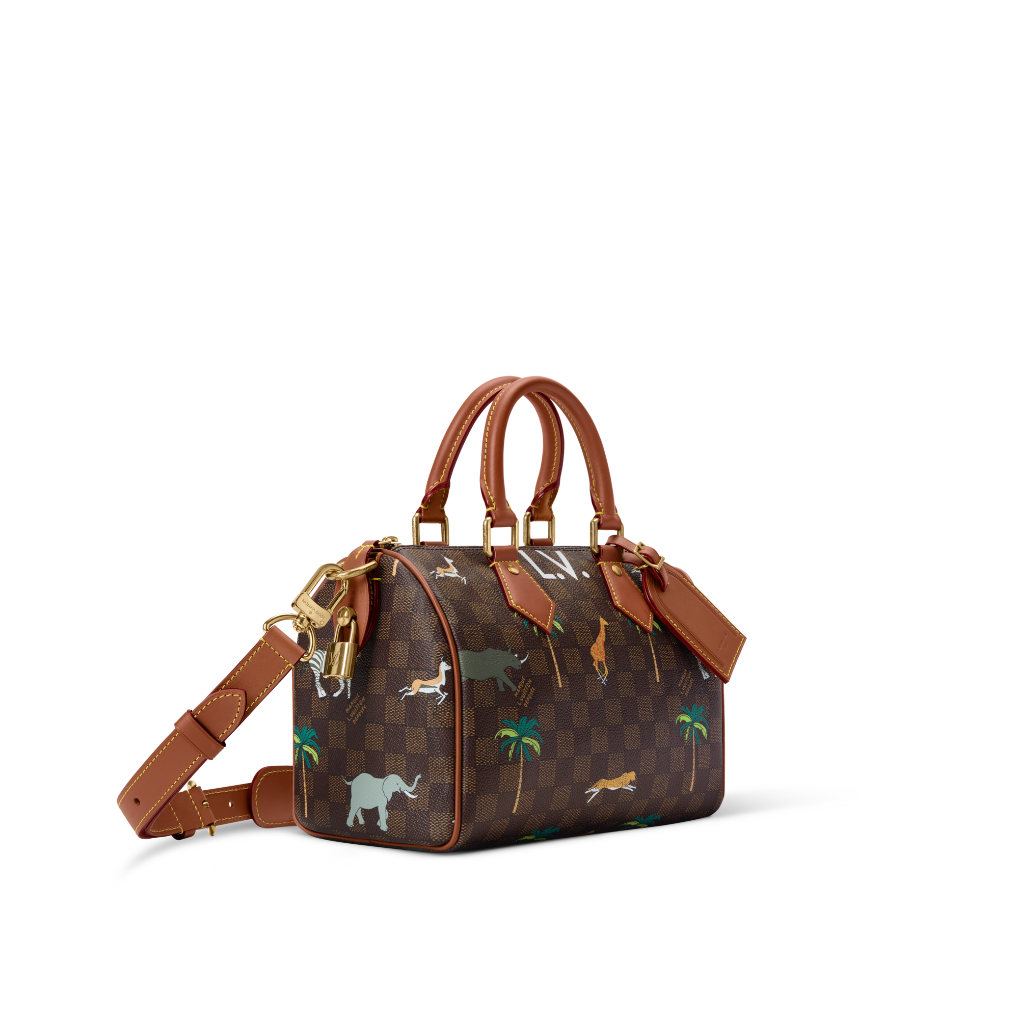 Speedy 25 Bandoulière x The Darjeeling Limited Damier Other - Men